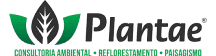 Plantae